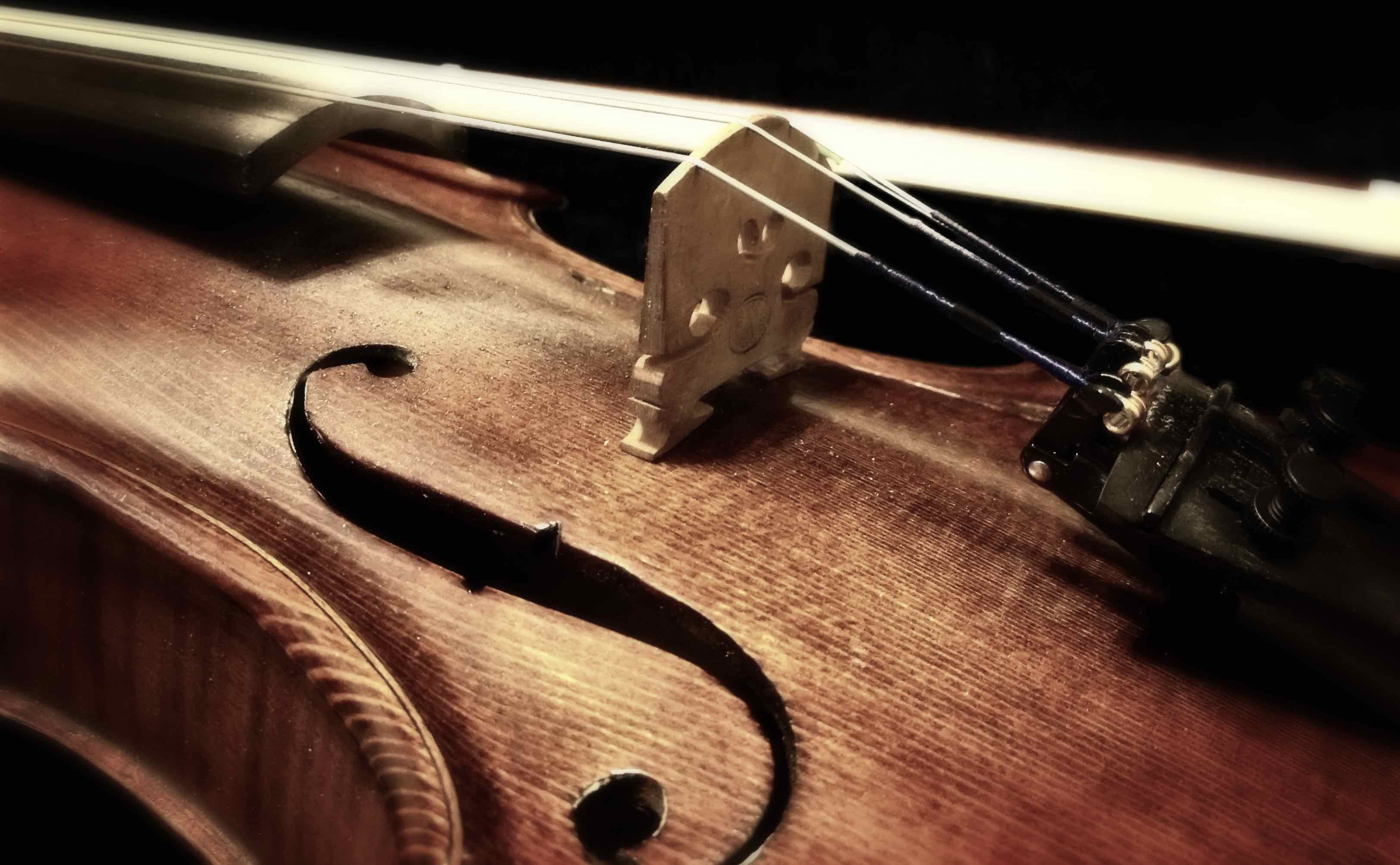 Dettagli violino